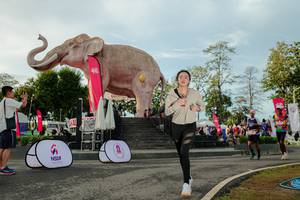 BIB: 
                            <button type="button" onclick="openModal(26529166)" class="btn btn-primary btn-sm float-right btn-popup" data-toggle="modal" data-target=".modal-high-quality">
                        <i class="fas fa-shopping-cart"></i> Add to Cart
                    </button>
                                            <button type="button" onclick="isThisMe(26529166, true)" class="btn btn-success btn-sm float-right btn-popup btn-isme hidden" data-toggle="tooltip" data-placement="bottom" title="นี่คือรูปของคุณใช่ไหม คลิกที่นี่เพื่อเอาเข้าอัลบั้ม">
                        <i class="fas fa-plus"></i> Add to album
                    </button>
                    <button type="button" onclick="isThisMe(26529166, false)" class="btn btn-warning btn-sm float-right btn-popup btn-isnotme hidden">
                        <i class="fas fa-ban"></i> Remove from album
                    </button>